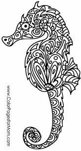 email protected find us at: Easy Seahorse Coloring Pages Novocom Top