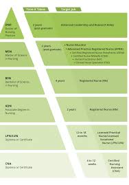Nursing Degrees Explained All Nursing Schools