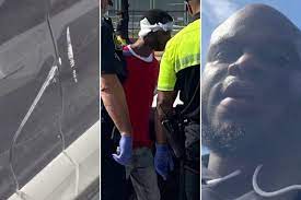 Easy to grow, it is a suitable strain for amateur gardeners, and presents the best results when grown indoors. Ufc News Derrick Lewis Thwarts Car Thief Shares Arrest Video