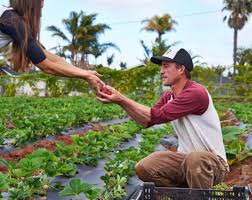 SanDiegoVille: Support These San Diego Farms & Help Small Businesses Stay  Afloat During A Difficult Time