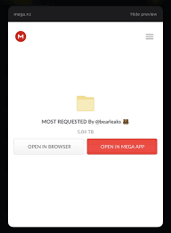 5TB MEGA FILE🔥 LINK IN THE COMMENTS - Reddit NSFW
