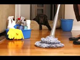 تفسير رؤية تنظيف البيت في المنام Youtube