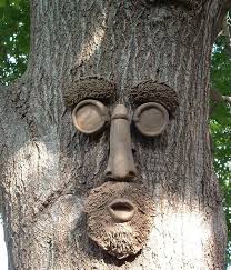 Tree Face Tree Faces Garden Art Beautiful Tree