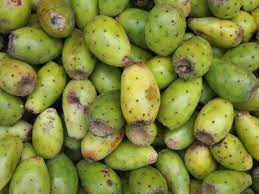 People also eat the pads or stems of the cacti themselves. How To Harvest Eat Prickly Pear Cactus Fruit