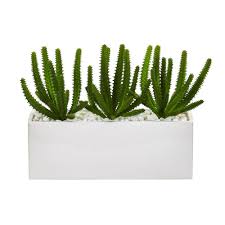 Csf marketplace is where cactus spines and flowers (csf) will be posting for sale items and do live selling. Nearly Natural Indoor Finger Cactus Artificial Plant In White Vase 8511 The Home Depot Artificial Cactus White Vases Artificial Plants
