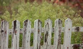 Your putting up fence stock images are ready. What Is The Garden Fence Protocol And What Does It Mean For Me Ppo