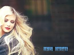 Can Bed Bugs Live In Hair Bedbugs Hair Health Pestcontrol Bed Bugs Hair Your Hair