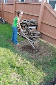 Check out how to overseed a thin lawn for more info. Lawn Repair Great Kid Project Myfixituplife