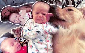 If you're already having a good day, then it's about to get a. Susse Tiere 13 Hunde Die Jeden Tier Fan Happy Machen Werden Watson
