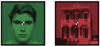 การรับรู้ภาพของโลก การรับรู้ภาพและการประยุกต์ใช้หลักการ Gestalt  ในการออกแบบเว็บ