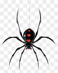 Black widow spiders are arachnids, which are animals that have a skeleton on the outside of their body, eight legs, and a segmented body. Spider Design Black Widow Sunshine Design Cases Black Widow Dj Turntable Slipmat Free Transparent Png Clipart Images Download