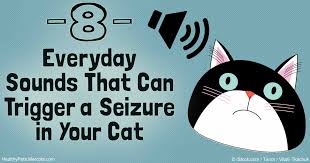 Tumors in the brain can disrupt brain function, affecting your personality and behavior. 8 Everyday Sounds That Can Trigger A Seizure In Your Cat