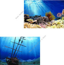 Ascii characters only (characters found on a standard us keyboard); Top Fin In Aquarium Decorations For Sale Ebay