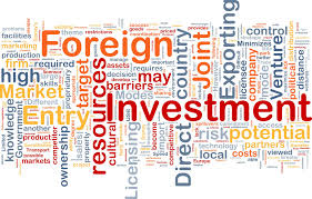Image result for Foreign Capital