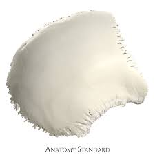 Image result for Parietal Bone