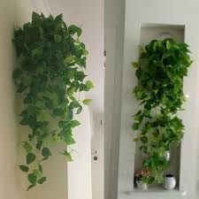 We did not find results for: 1pcs Kunstliche Pflanzen Reben Grun Rattan Gefalschte Hangende Pflanze Faux Hangende Blumen Rebe Fur Wand Innen