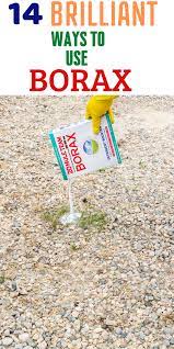 Amazing Borax Cleaning Tips With Tricks You Need To Know Borax Cleaning Diy Cleaning Hacks Household Cleaning Tips
