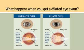 diabetic eye disease a self guided module