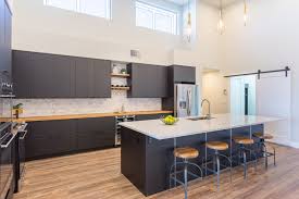 Ikea Kungsbacka Black Cabinets Ikea Kitchen Kitchen Room Design Kitchen Layout