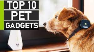 Some might tear at pieces of paper, and others might bite their fingernails. Top 10 Must Have Gadgets For Your Pets Youtube