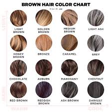 Shades Brown Hair Color Chart