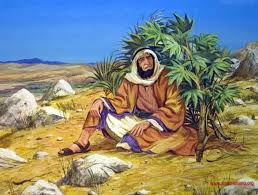 35193 questions all questions 5 questions 6 questions 7 questions 8 questions 9 questions 10 questions History Of The Bibles For Children Jonas And The Whale Steemit