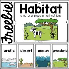 Natural habitat synonyms, natural habitat pronunciation, natural habitat translation, english dictionary definition of natural habitat. Free Habitat Poster Card Visuals Https Www Teacherspayteachers Com Product Habitats Poster Cards 2 Kindergarten Science Preschool Science Homeschool Science