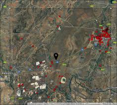 Image result for Chascanum adenostachyum