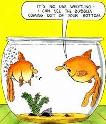 Funny Cartoon Pictures Funny Cartoons Funny Picture Quotes Fishing Jokes Funny Cartoons