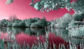 Nature Laptop Wallpapers Wallpaper Cave We have 65+ background pictures for you! nature laptop wallpapers wallpaper cave