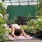 Butterfly Yoga