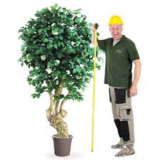 Nahuaa 4 pz piante artificiali da esterno interno mazzi finti fiori gloria mattutina bouquet arbusti plastica composizioni cespugli per decorazioni balcone giardino vaso cimitero casa cucina ufficio. Camelia Bianca Jamaica Pianta Costruita In Italia Con Tronco Naturale