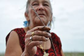 Photo Essay: Ecuadorean Delegation Tours BP's Oil Disaster in the Gulf