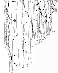 Google Image Result For Http Www Luckypalm Com Wp Content Uploads 2010 01 Birch Trees Png Birch Tree Tattoos White Birch Trees Tree Graphic