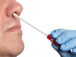 Find your rapid pcr test easily amongst the 18 products from the leading brands (randox, roche, hologic,.) on medicalexpo, the medical equipment specialist for your professional purchases. Binaxnow Rapid Antigen Test Has Lower Sensitivity Than Rt Pcr