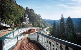 We did not find results for: Harga Tiket Kereta Kabel Genting Highlands 2021 Diskaun Online