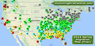 2016 Hummingbird Spring Migration Map 2016 Hummingbird