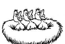 Beautiful bird nest coloring pages to color, print and download for free along with bunch of favorite bird nest coloring page for kids. Find The Best Coloring Pages Resources Here Part 150