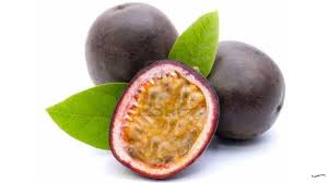 Buni ( antidesma reticulata) 25. Nama Buah Buahan Dari Huruf M Nama Buah Buahan Dari A Sampai Z