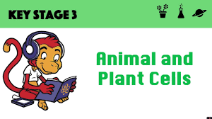 Check spelling or type a new query. Animal And Plant Cells Youtube