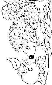 Ausmalbild Igeln Igeln Igel Ausmalbild Malvorlagen Tiere Ausmalen