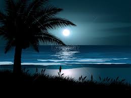 Please install or update your flash plugin to enjoy this video. Moonlight Over Sea With Palm Tree Silhouette Illustration Image Picture Free Download 450010029 Lovepik Com