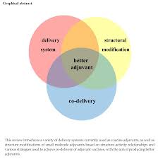 Vaccines Free Full Text Better Adjuvants For Better Vaccines Progress In Adjuvant Delivery Systems Modifications And Adjuvant Antigen Codelivery Html
