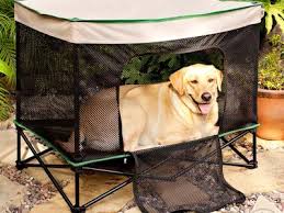 Pet medical center of ames. Pet Medical Center Of Ames Pmcofames Profile Pinterest
