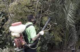 Bretts tree service is a brisbane based business that provides professional tree removal and pruning services. Hawthorne Brothers Tree Service Inc Bedford Hills Ny 10507 Yp Com