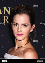 Watson hotel hi-res stock photography and images