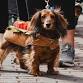 Deadwood Oktoberfest