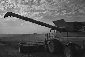 Image result for tbn:cRxpWML3C6TQFM::farm3.static.flickr.com/2382/2420623259_e3c8cd4fd8.jpg