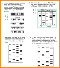 The dna fingerprints were made from blood samples taken from a puppy and four possible sires of this puppy in an effort to determine the circle your answer. Dna Labeling Worksheet Printable Worksheets And Activities For Teachers Parents Tutors And Homeschool Families