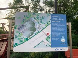 Reserva lorong halus wetland, singapur en tripadvisor: Lorong Halus Wetland Route Walk Trail Singapore North East Region Pacer